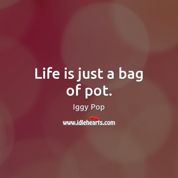 Life is just a bag of pot. Image