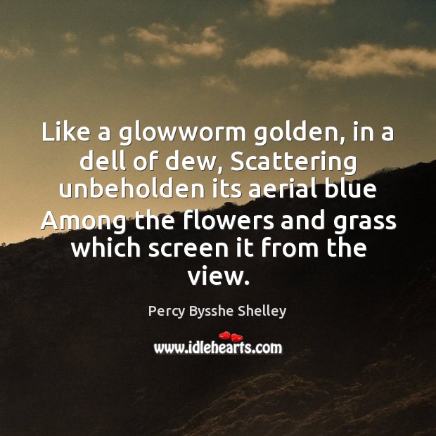 Like a glowworm golden, in a dell of dew, Scattering unbeholden its Image