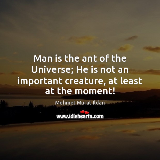 Man is the ant of the Universe; He is not an important creature, at least at the moment! Picture Quotes Image