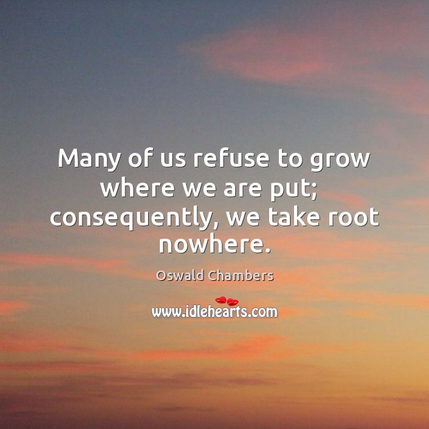 Many of us refuse to grow where we are put;   consequently, we take root nowhere. Oswald Chambers Picture Quote