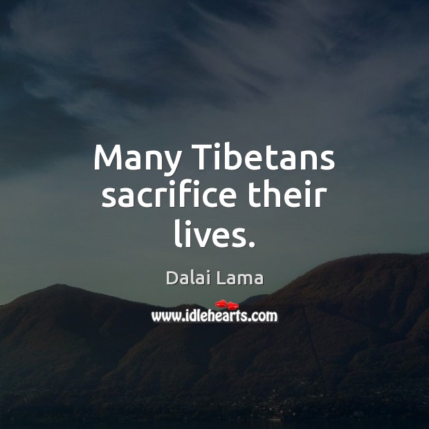 Many Tibetans sacrifice their lives. Dalai Lama Picture Quote