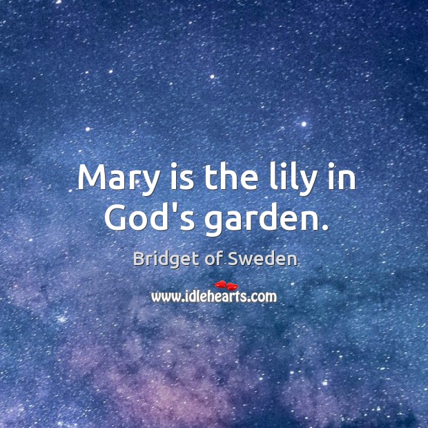 Mary is the lily in God’s garden. Image