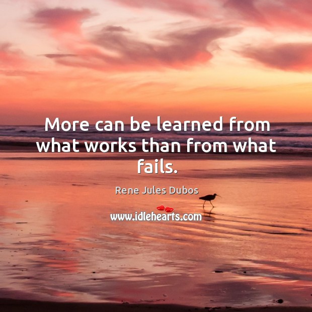 More can be learned from what works than from what fails. Image