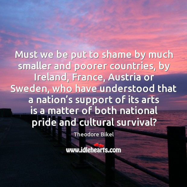 Must we be put to shame by much smaller and poorer countries, by ireland, france Theodore Bikel Picture Quote