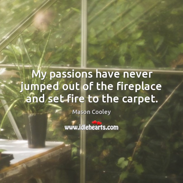 My passions have never jumped out of the fireplace and set fire to the carpet. Image