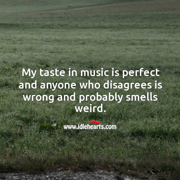 My taste in music is perfect and anyone who disagrees is wrong and probably smells weird. Music Quotes Image