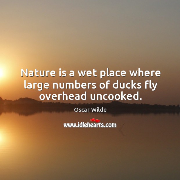 Nature is a wet place where large numbers of ducks fly overhead uncooked. Nature Quotes Image