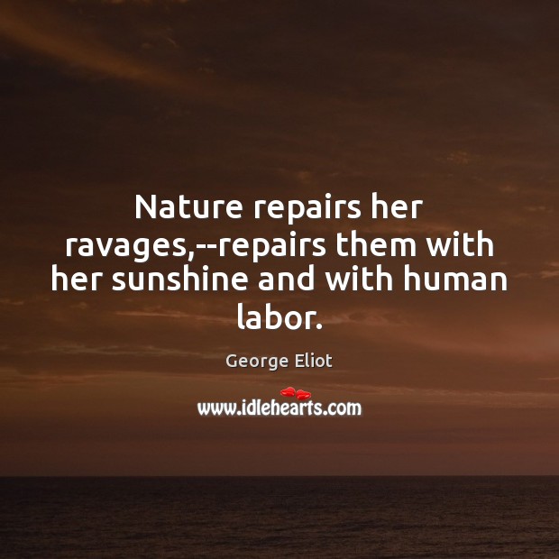 Nature repairs her ravages,–repairs them with her sunshine and with human labor. Image