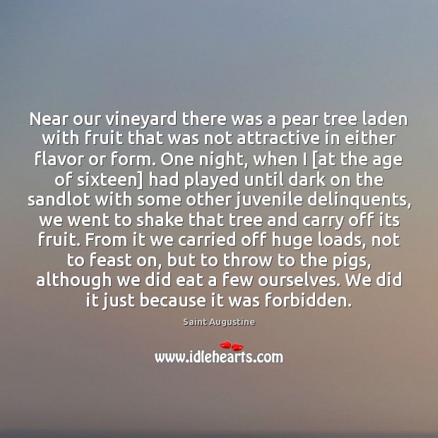 Near our vineyard there was a pear tree laden with fruit that Image