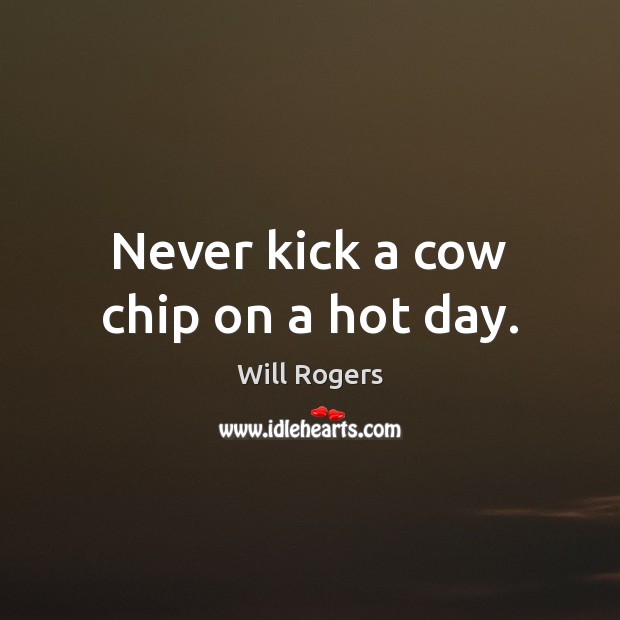 Never kick a cow chip on a hot day. Will Rogers Picture Quote