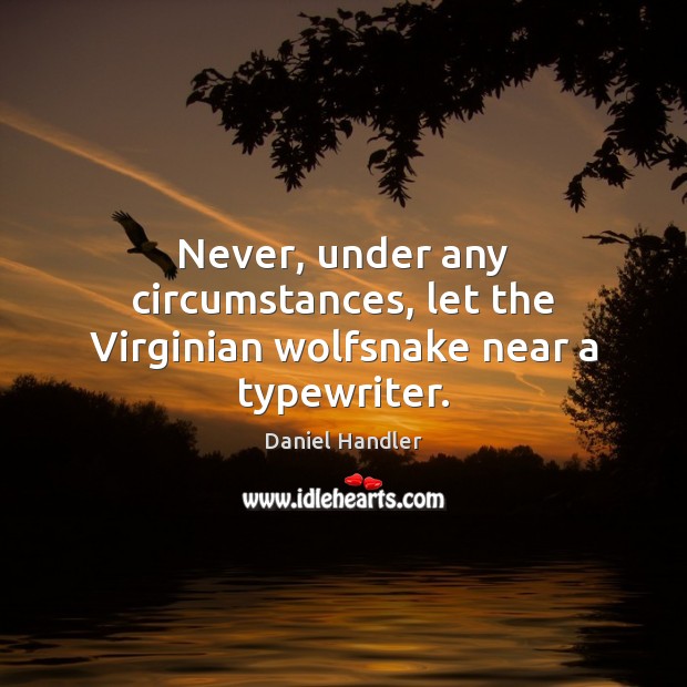 Never, under any circumstances, let the Virginian wolfsnake near a typewriter. Daniel Handler Picture Quote