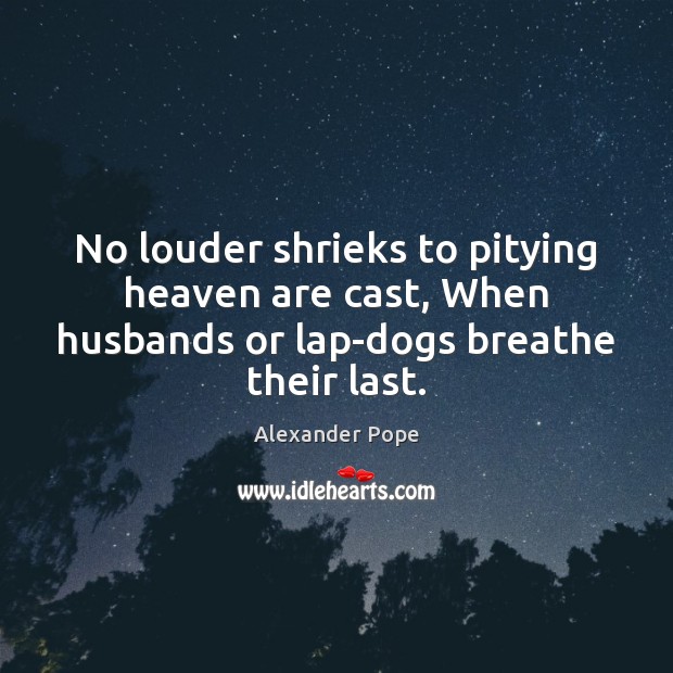 No louder shrieks to pitying heaven are cast, When husbands or lap-dogs Alexander Pope Picture Quote