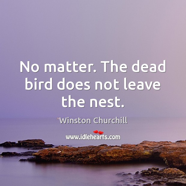 No matter. The dead bird does not leave the nest. Image