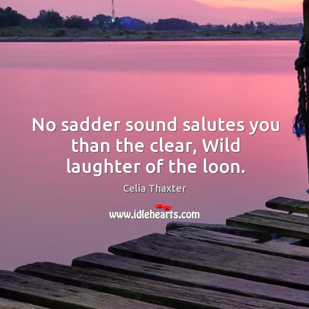 No sadder sound salutes you than the clear, Wild laughter of the loon. Laughter Quotes Image