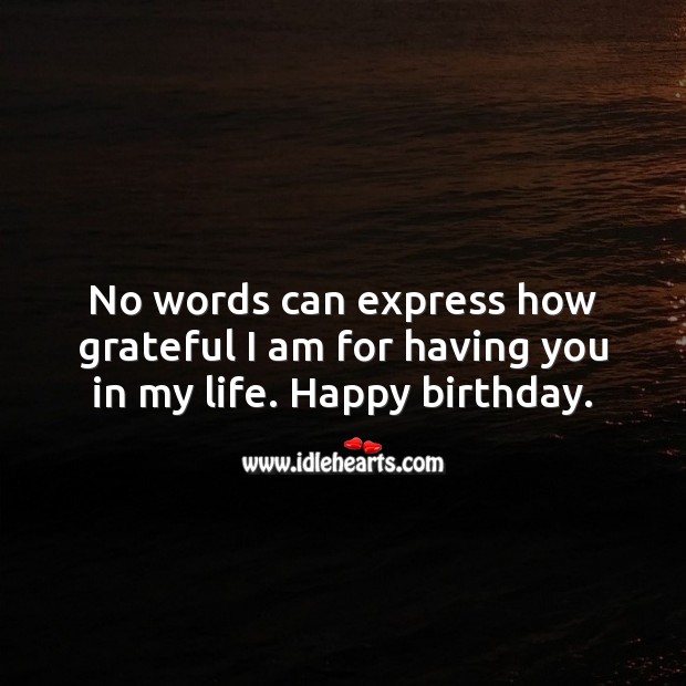 No words can express how grateful I am for having you in my life. Happy  birthday. - IdleHearts