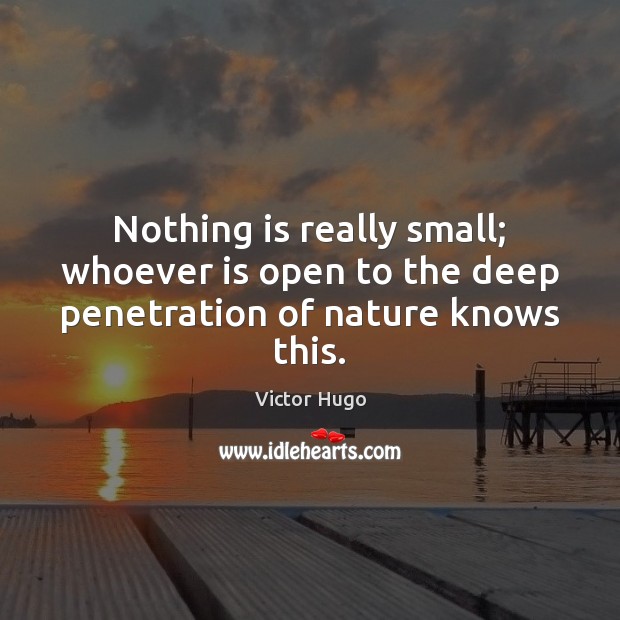 Nothing is really small; whoever is open to the deep penetration of nature knows this. Nature Quotes Image