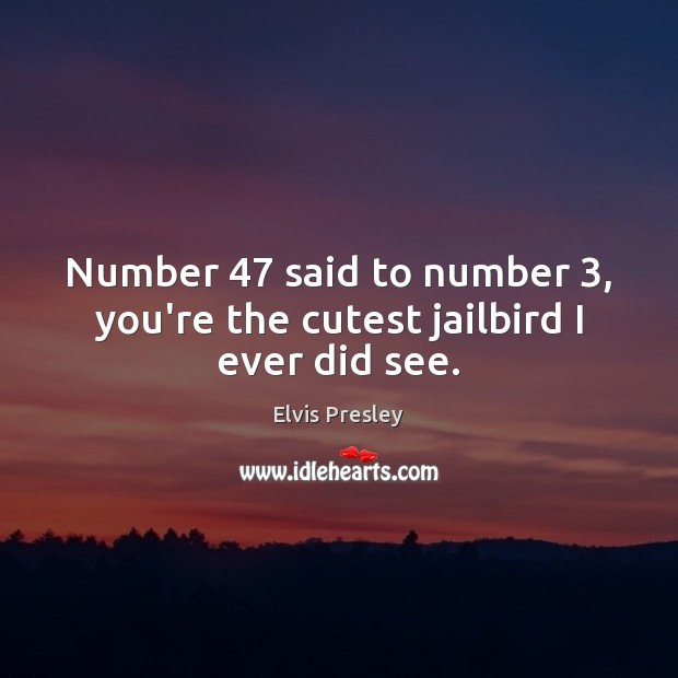 Number 47 said to number 3, you’re the cutest jailbird I ever did see. Picture Quotes Image