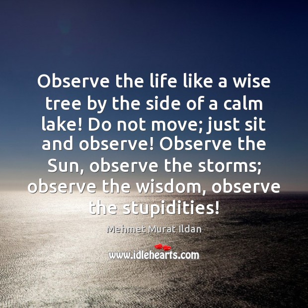 Wisdom Quotes