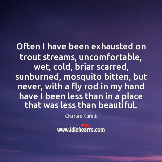 Often I have been exhausted on trout streams, uncomfortable, wet, cold, briar Charles Kuralt Picture Quote