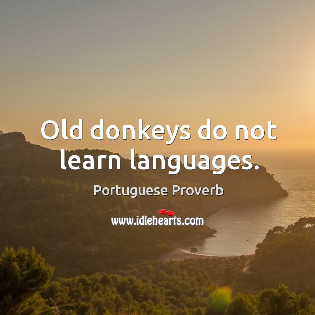 Portuguese Proverbs