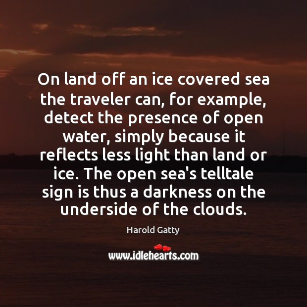 On land off an ice covered sea the traveler can, for example, Image