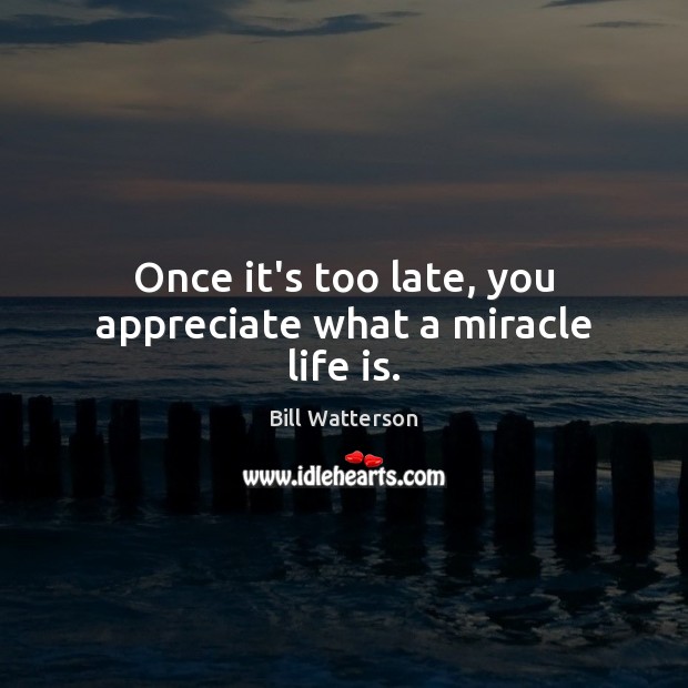 Once it’s too late, you appreciate what a miracle life is. Appreciate Quotes Image