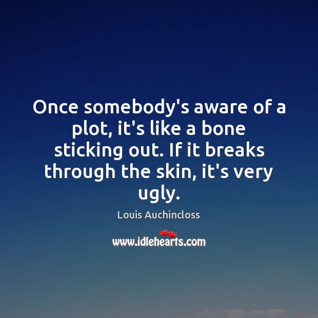 Once somebody’s aware of a plot, it’s like a bone sticking out. Louis Auchincloss Picture Quote