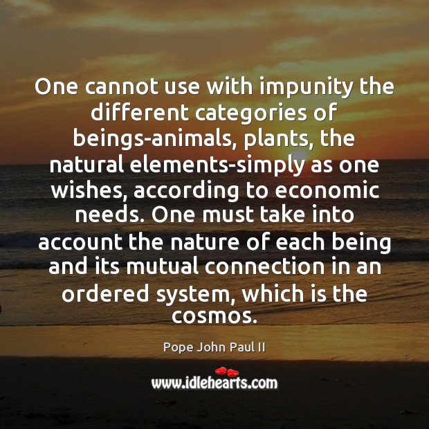 One cannot use with impunity the different categories of beings-animals, plants, the Image