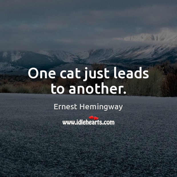 One cat just leads to another. Picture Quotes Image