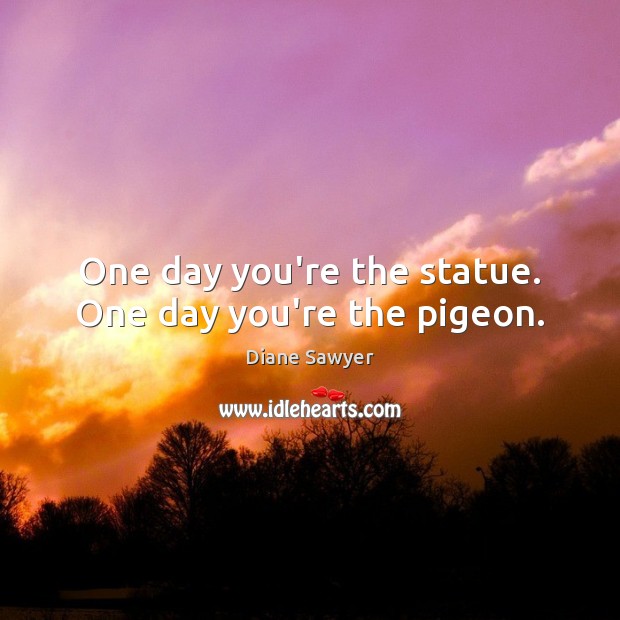 One day you’re the statue. One day you’re the pigeon. Diane Sawyer Picture Quote