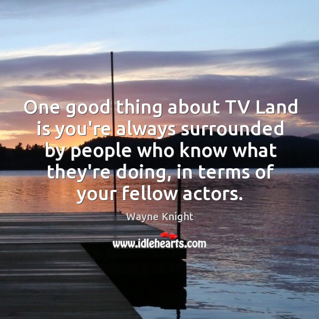 One good thing about TV Land is you’re always surrounded by people Wayne Knight Picture Quote