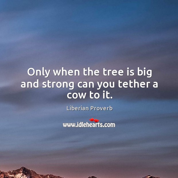 Liberian Proverbs