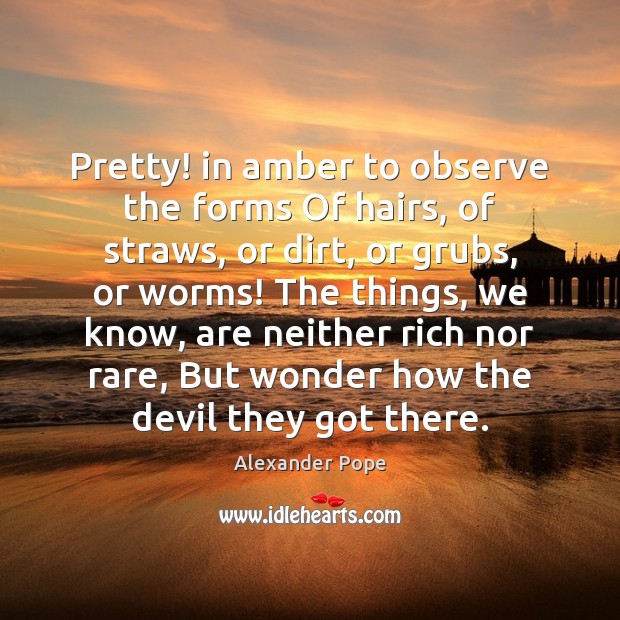 Pretty! in amber to observe the forms Of hairs, of straws, or Alexander Pope Picture Quote