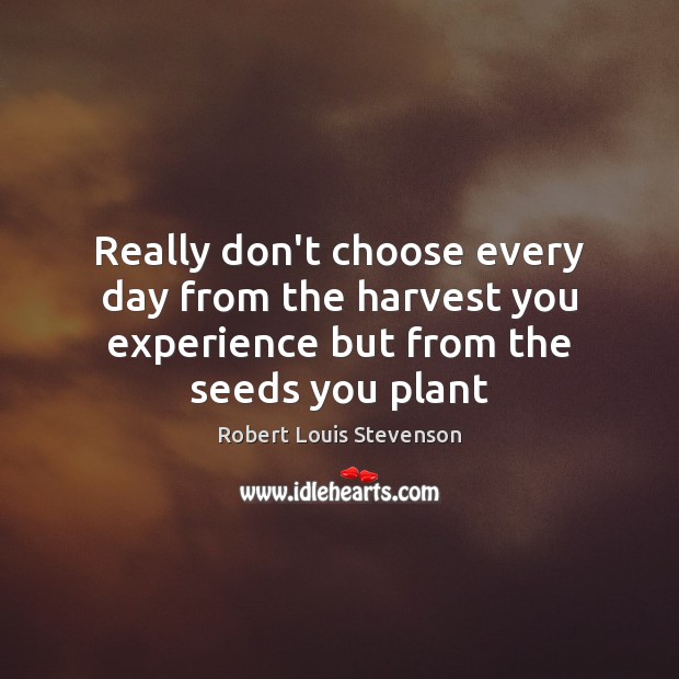 Really don’t choose every day from the harvest you experience but from the seeds you plant Image