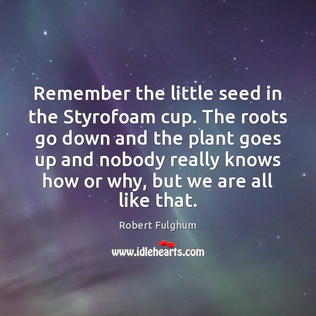 Remember the little seed in the Styrofoam cup. The roots go down Picture Quotes Image