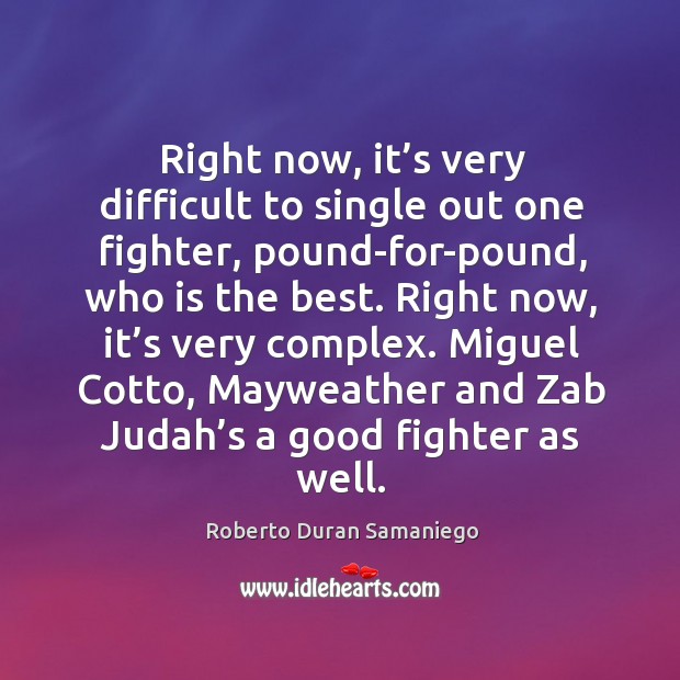 Right now, it’s very difficult to single out one fighter, pound-for-pound, who is the best. Roberto Duran Samaniego Picture Quote