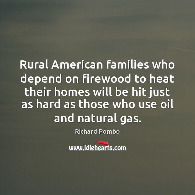 Rural American families who depend on firewood to heat their homes will Image