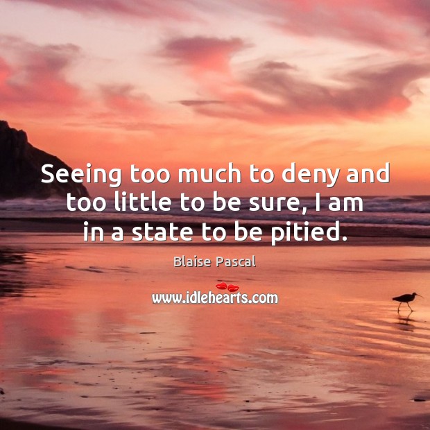 Seeing too much to deny and too little to be sure, I am in a state to be pitied. Image