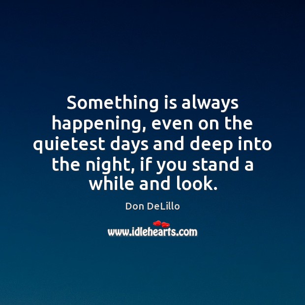 Something is always happening, even on the quietest days and deep into Image