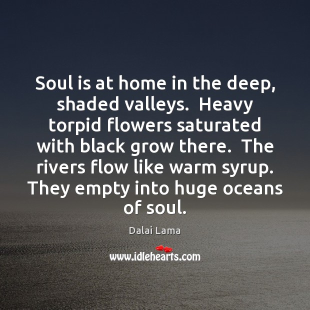 Soul is at home in the deep, shaded valleys.  Heavy torpid flowers Dalai Lama Picture Quote