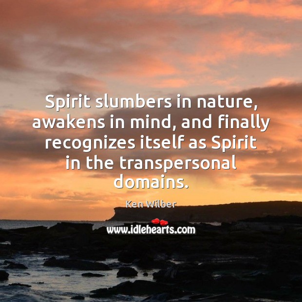 Spirit slumbers in nature, awakens in mind, and finally recognizes itself as Image