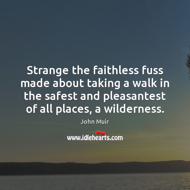 Strange the faithless fuss made about taking a walk in the safest John Muir Picture Quote