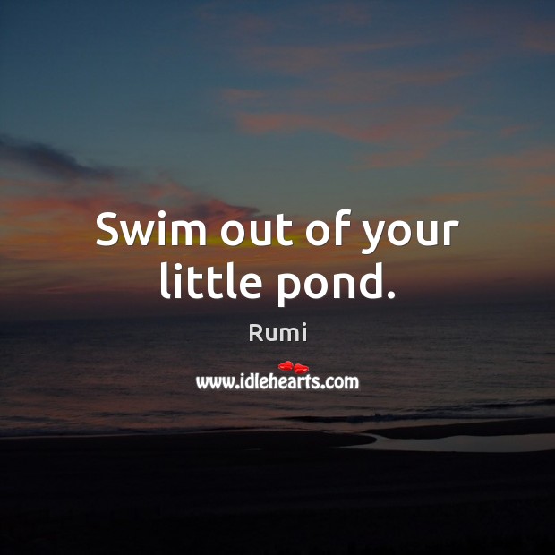 Swim out of your little pond. Picture Quotes Image