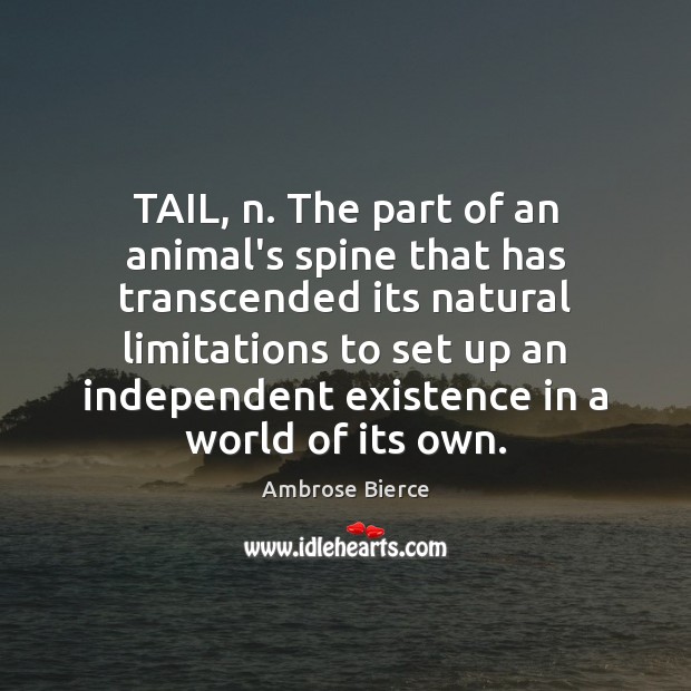 TAIL, n. The part of an animal’s spine that has transcended its Image