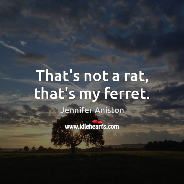 That’s not a rat, that’s my ferret. Picture Quotes Image