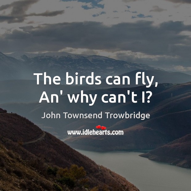 The birds can fly, An’ why can’t I? Picture Quotes Image