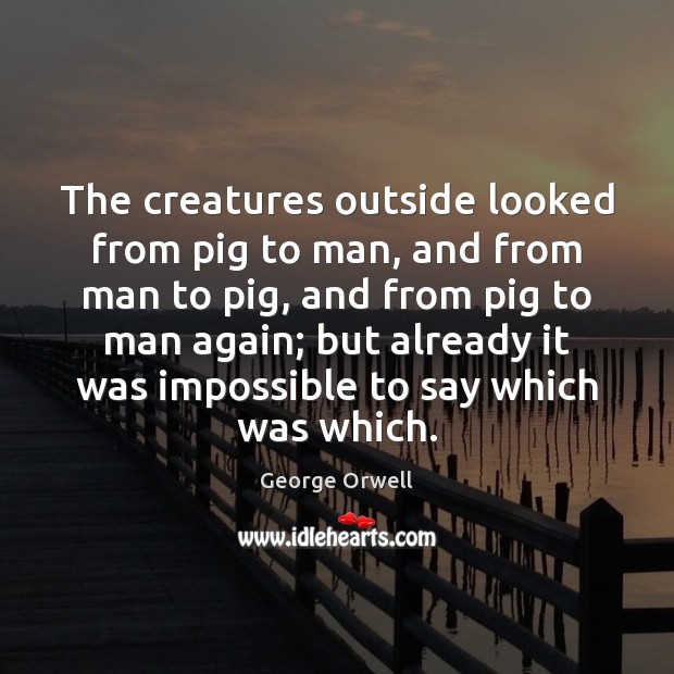 The creatures outside looked from pig to man, and from man to George Orwell Picture Quote