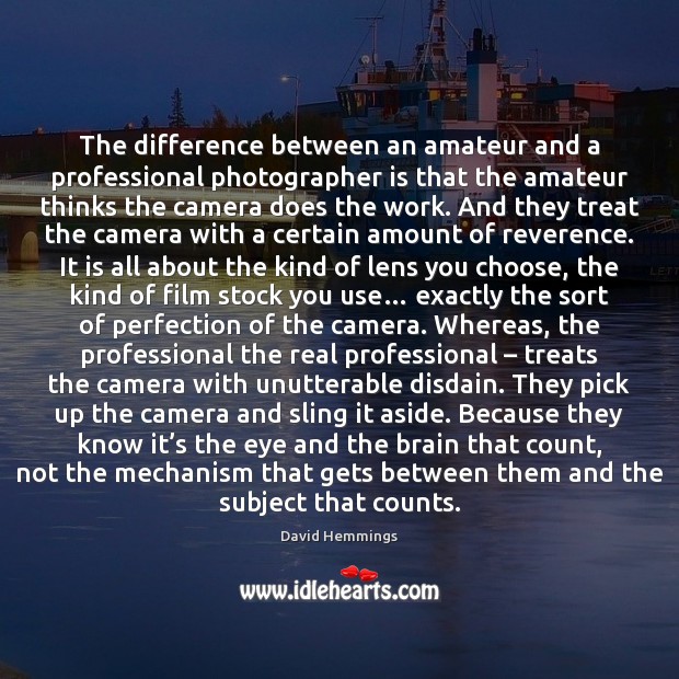 The difference between an amateur and a professional photographer is that the David Hemmings Picture Quote