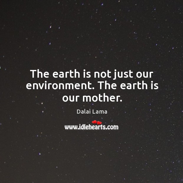 The earth is not just our environment. The earth is our mother. Environment Quotes Image