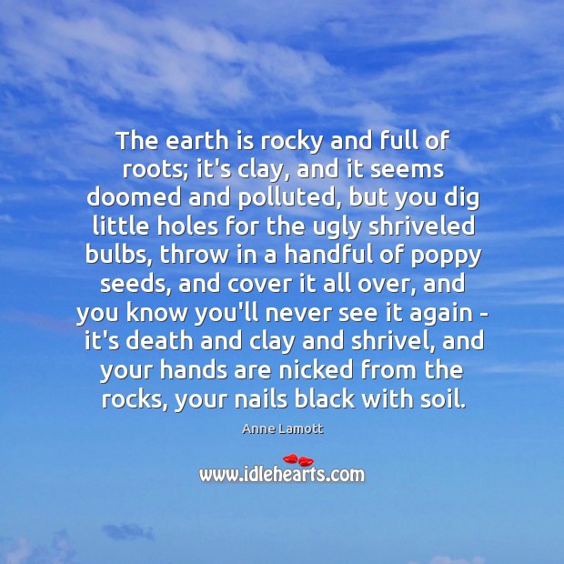 The earth is rocky and full of roots; it’s clay, and it Anne Lamott Picture Quote